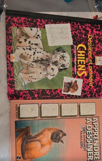 Lot 2 livres apprendre à dessiner #orianabllivre