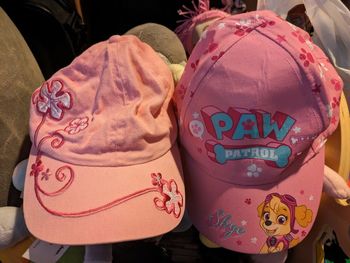 Lot 2 casquettes pat patrouille fille Stella rose