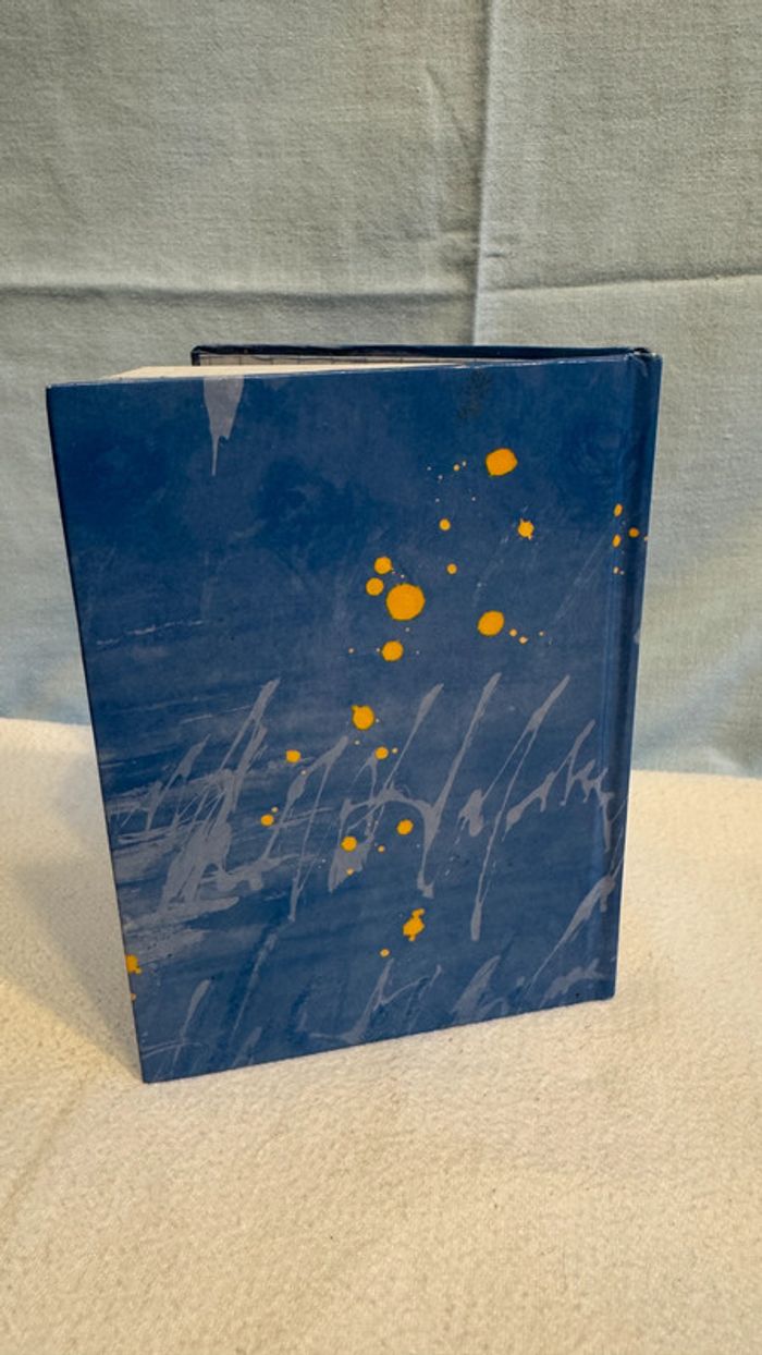 Carnet Diddl (premières pages ont été retirées) - photo numéro 4