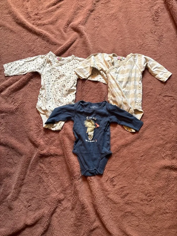 Lot bodies