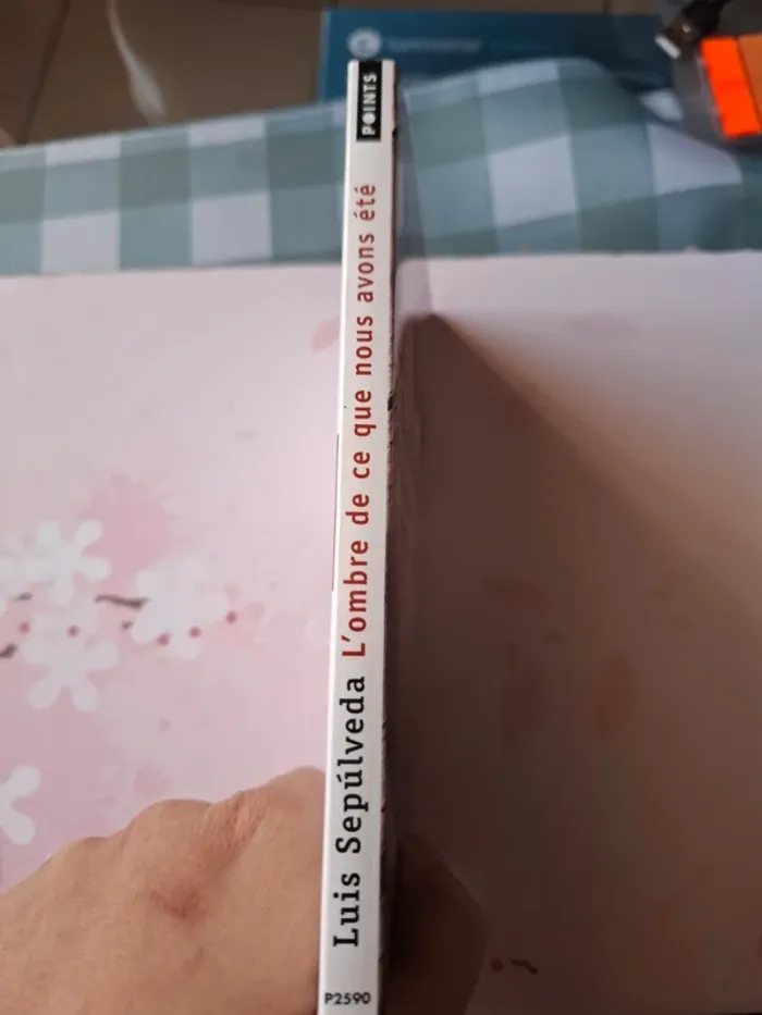 L'ombre de ce que nous avons été - photo numéro 2