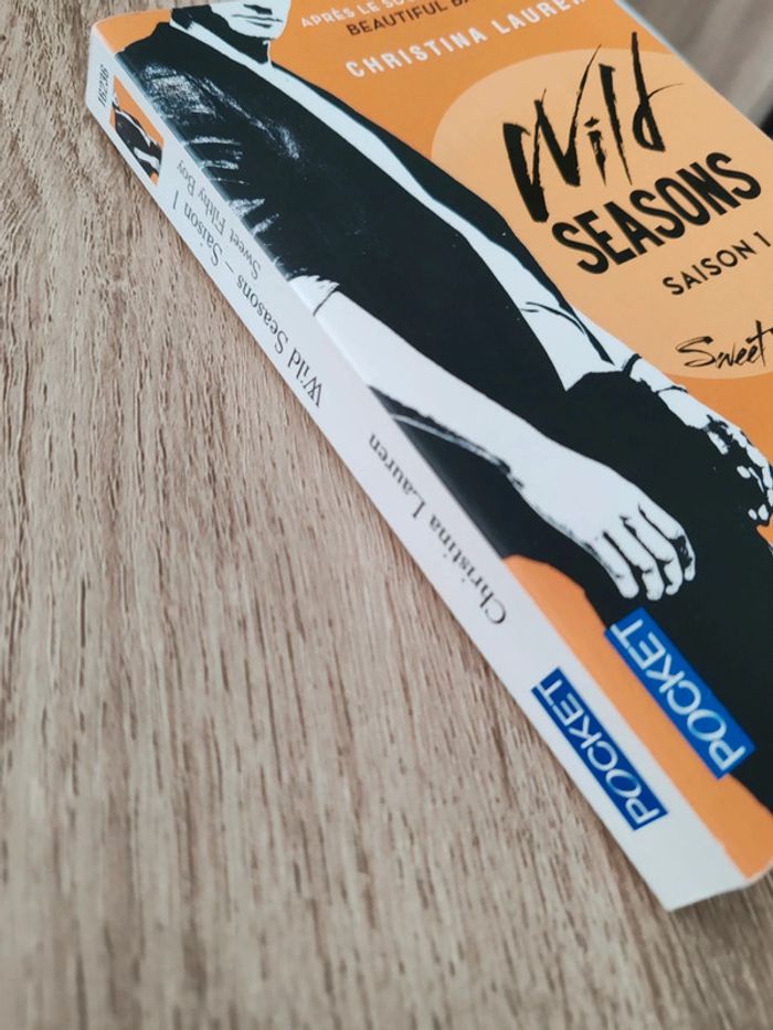 Christina Lauren 🟣 Wild seasons saison 1 Sweet filthy boy - photo numéro 3