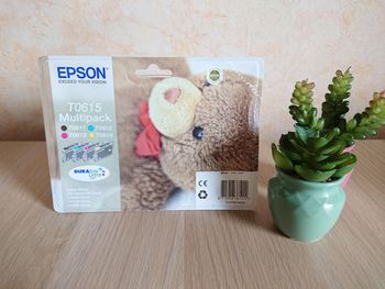 Cartouches EPSON T0615