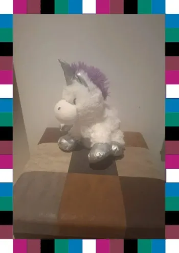 Peluche bouillotte
