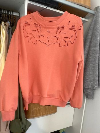 Pull corail
