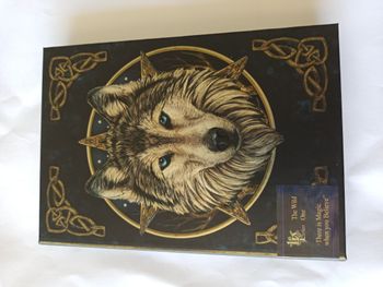 Carnet en relief Loup aux yeux bleus