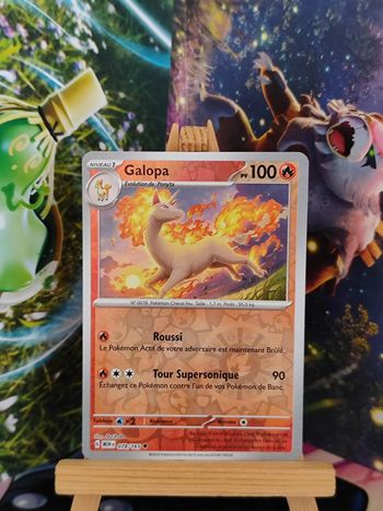 Galopa reverse 78/165 151