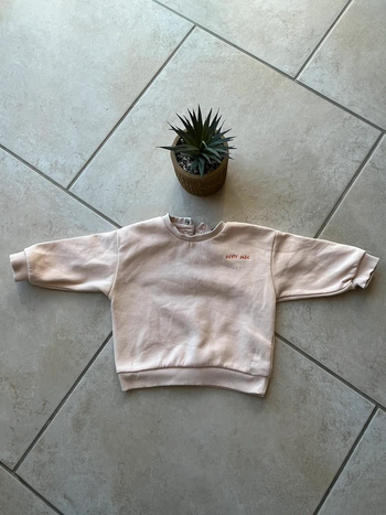 Sweat/pull garçon taille 12 mois
