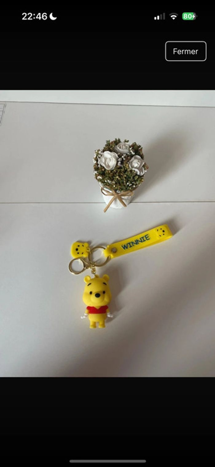 Porte porte Winnie l’ourson neuf