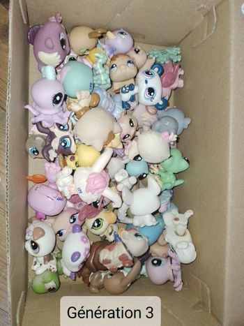 Petshop 