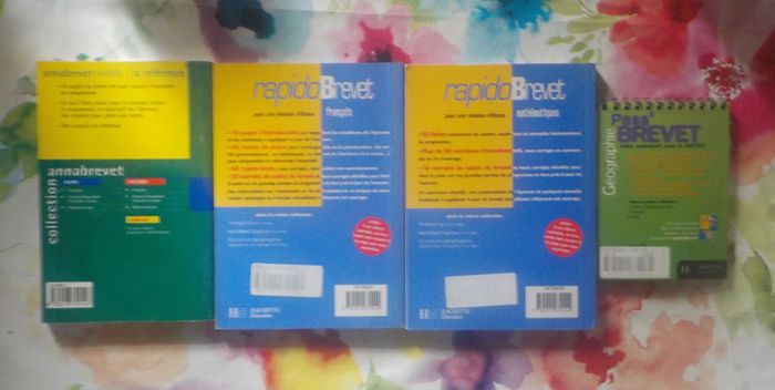 Lot pour révision brevet - photo numéro 2