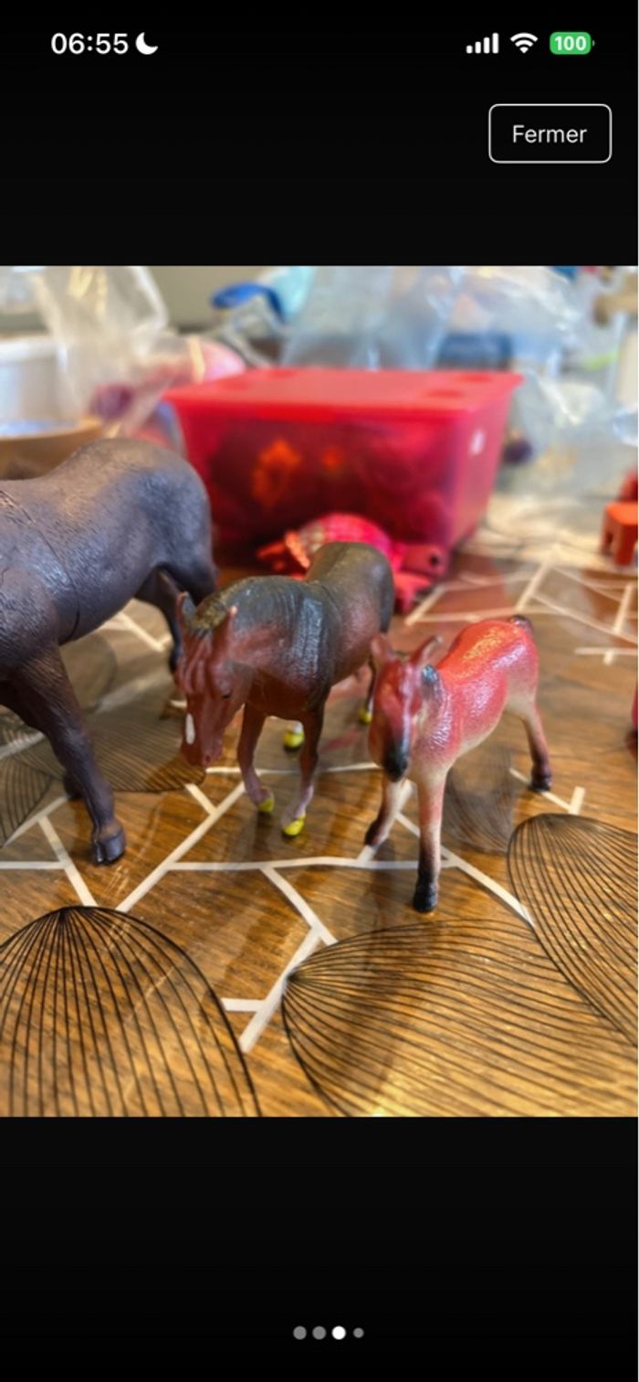 Chevaux - photo numéro 3