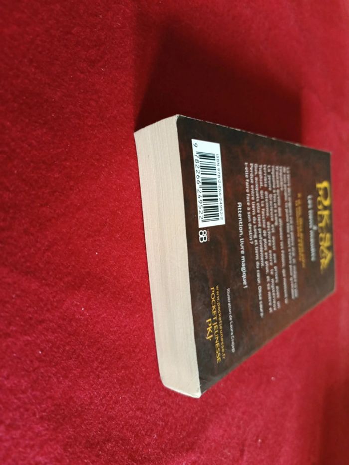 Oksa Pollock Tome 4 " Les liens maudits " Pkj - photo numéro 14