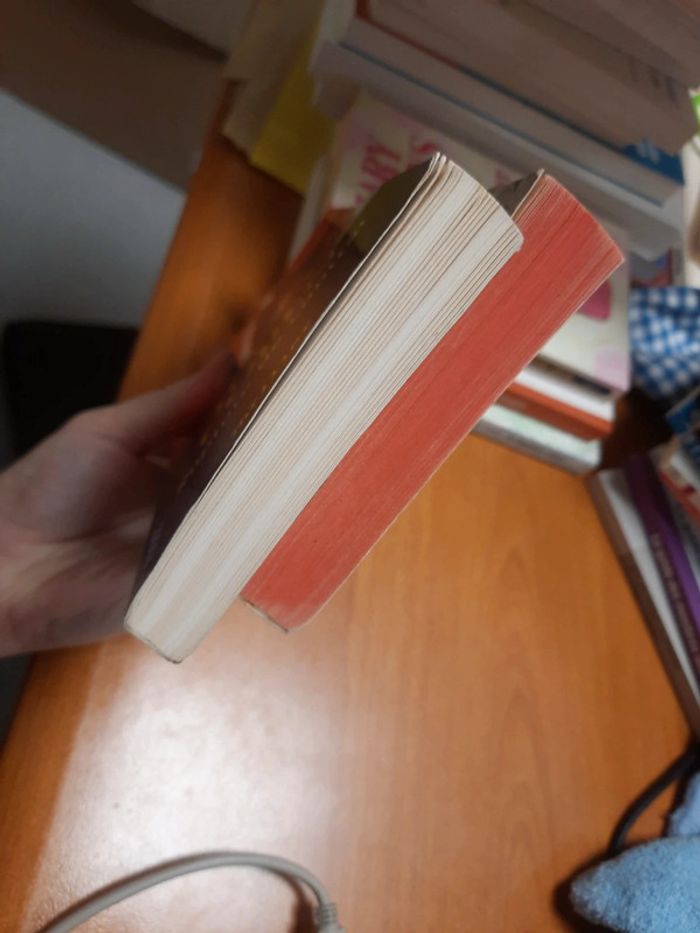 Lot 2 livres thriller policier - photo numéro 8