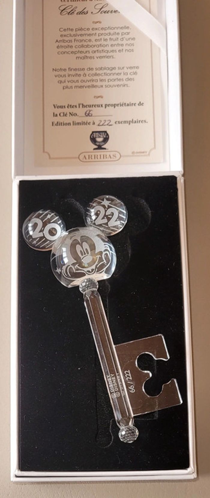 Cle llave key arribas mickey 2022 disney - photo numéro 2