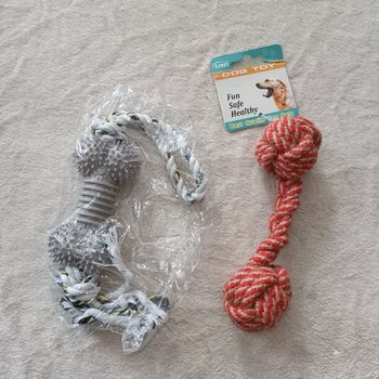 2 jouets pour chien
