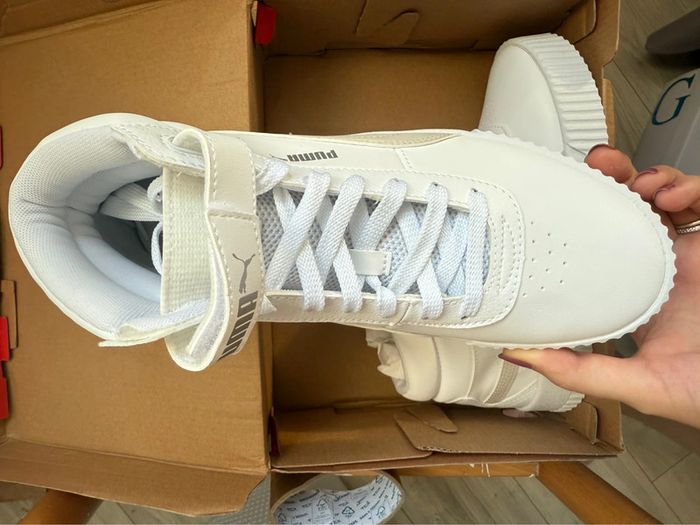 Puma Carina - photo numéro 4