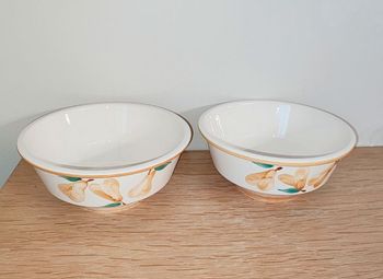 🌿 Lot de 2 saladiers ronds en céramiques Vintages - Motifs "Poires" - 25,5 x 10,5 cm 🌿