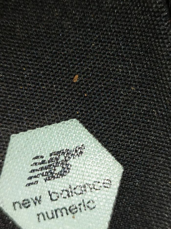 Basket New Balance MNG - photo numéro 4