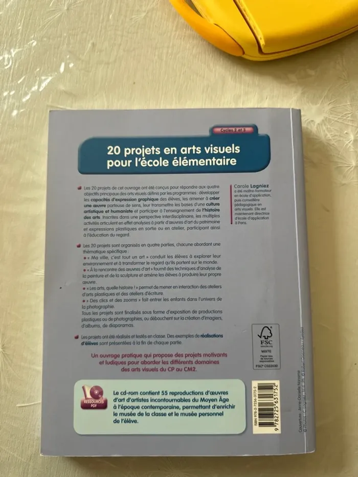 20 projets en arts visuels pour école élémentaire - photo numéro 4