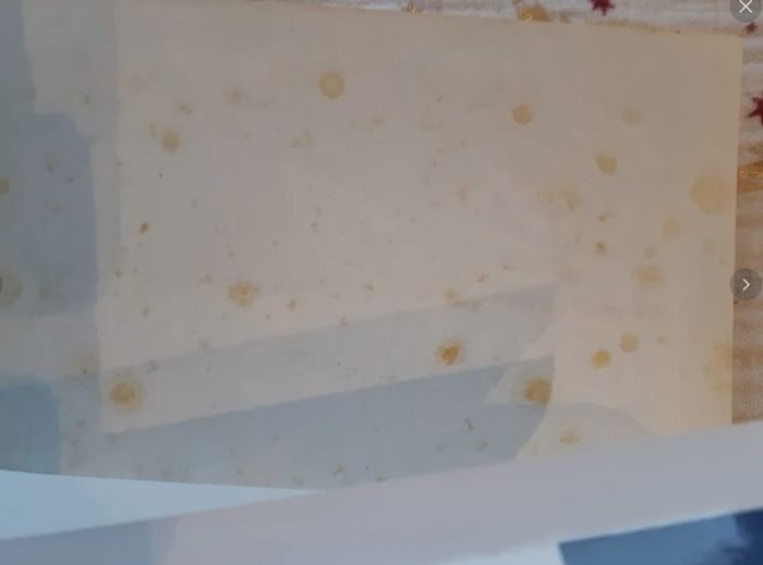 Lot mangas Shaman King tome 1 à 24 1998 - photo numéro 8