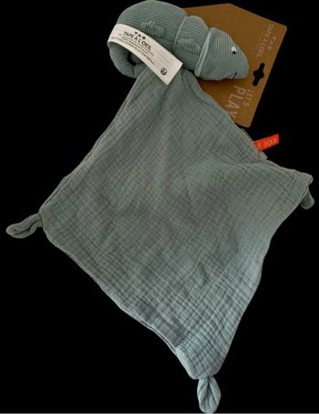 ❤️Doudou plat mouchoir caméléon vert tape à l’œil TAO
