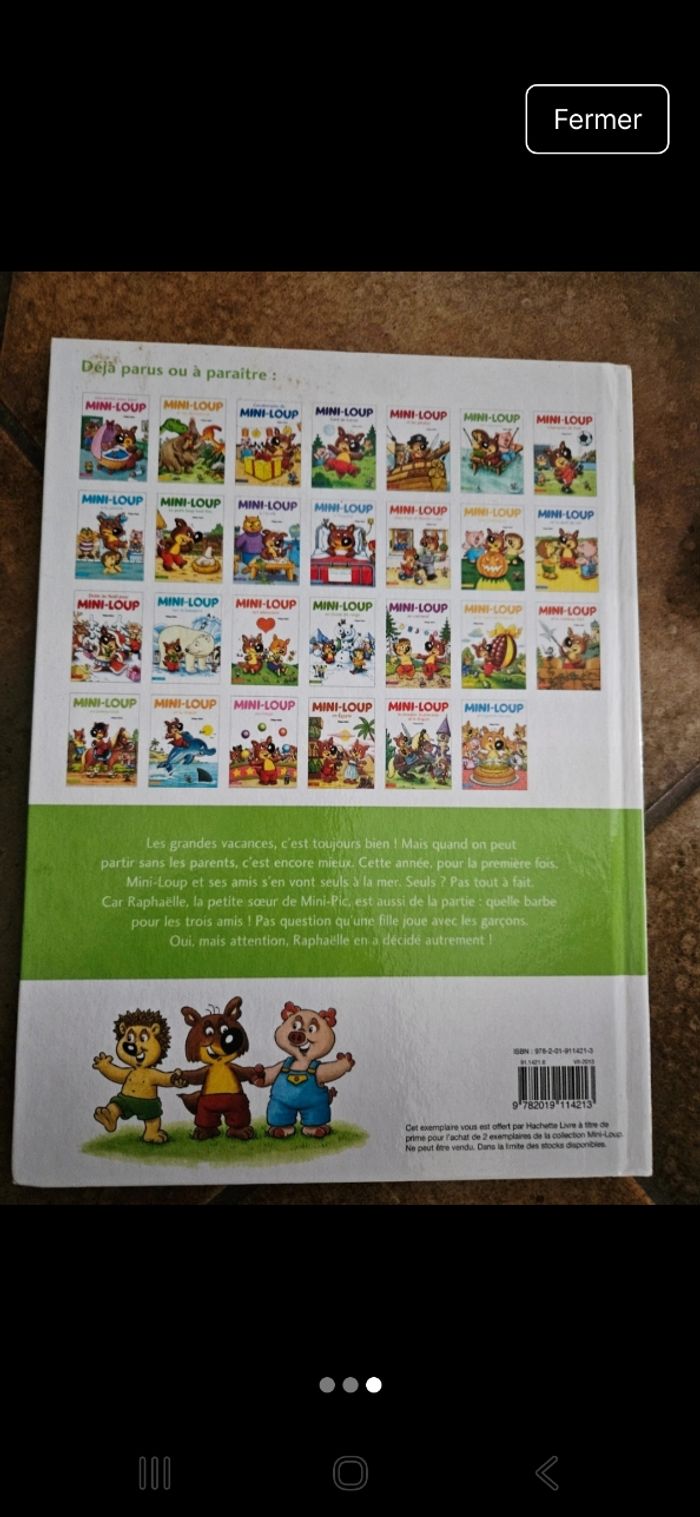Livre enfant "mini loup en vacances" - photo numéro 3
