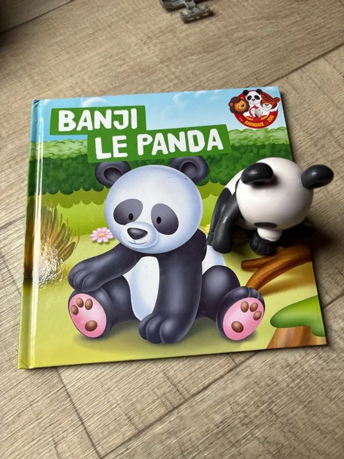 Livre enfant le panda banji