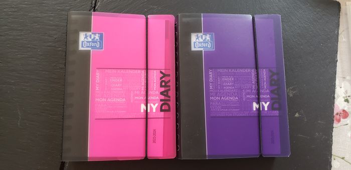 Lot de 2 agendas Diary 2023/2024