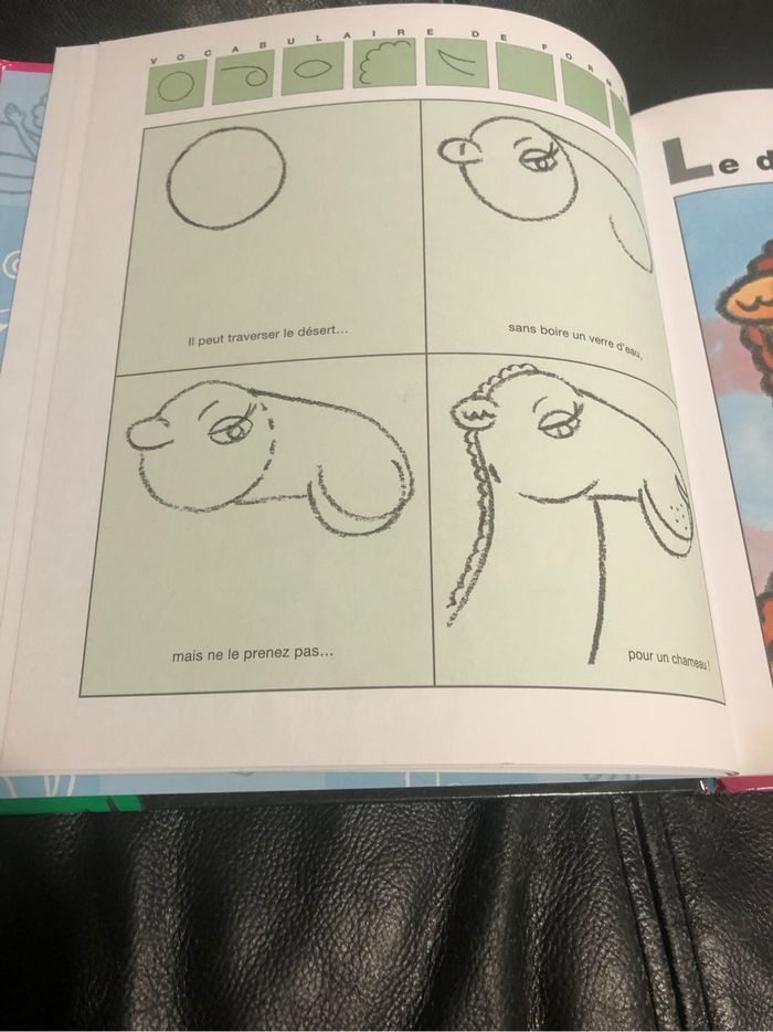 J’apprends à dessiner les animaux du monde - photo numéro 3