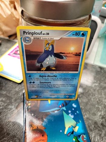 Pokémon prinplouf niv20