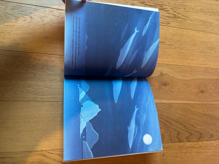 Livre école des loisirs - La mystérieuse baleine - photo numéro 5