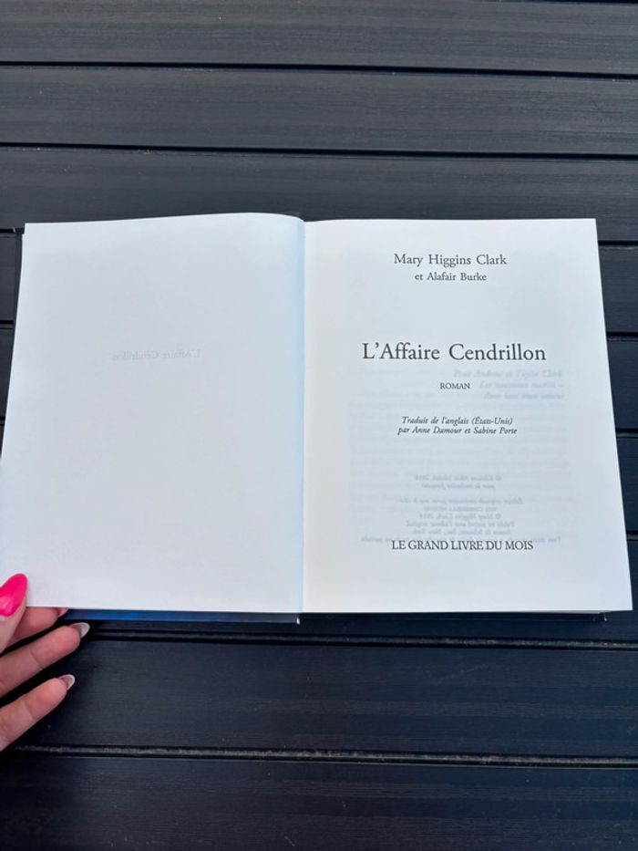 🌺Roman l’affaire Cendrillon🌺 - photo numéro 5