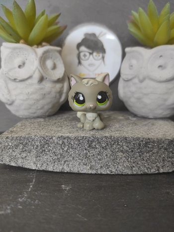 Littlest Petshop Pet Shop LPS chat snowshoe 1035 cat Kitten #geektradelpschat