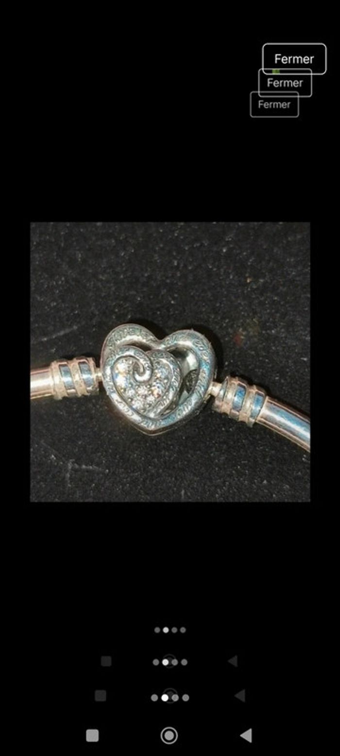 Jonc Pandora - photo numéro 2