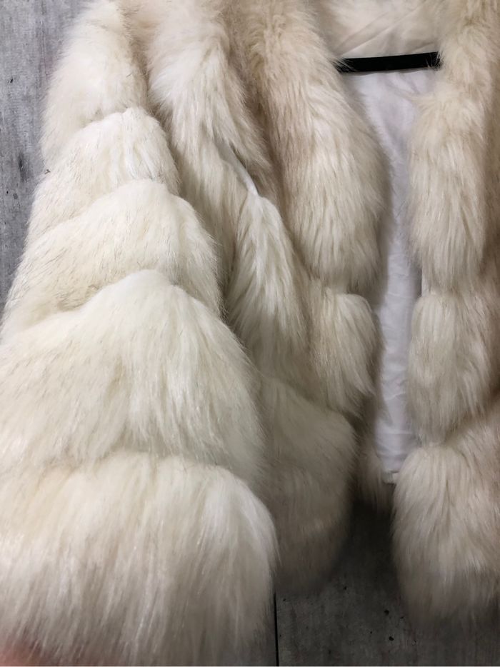 Beau manteau - photo numéro 6