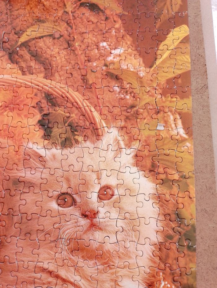 Puzzle chat et chien 500 pièces - photo numéro 9