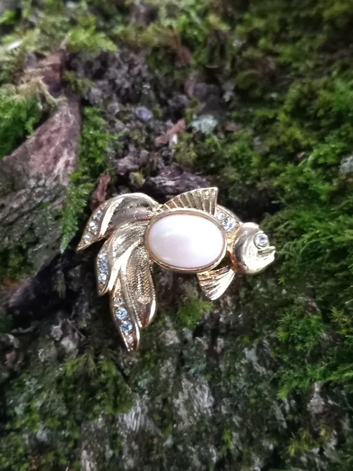 Broche en forme de poisson