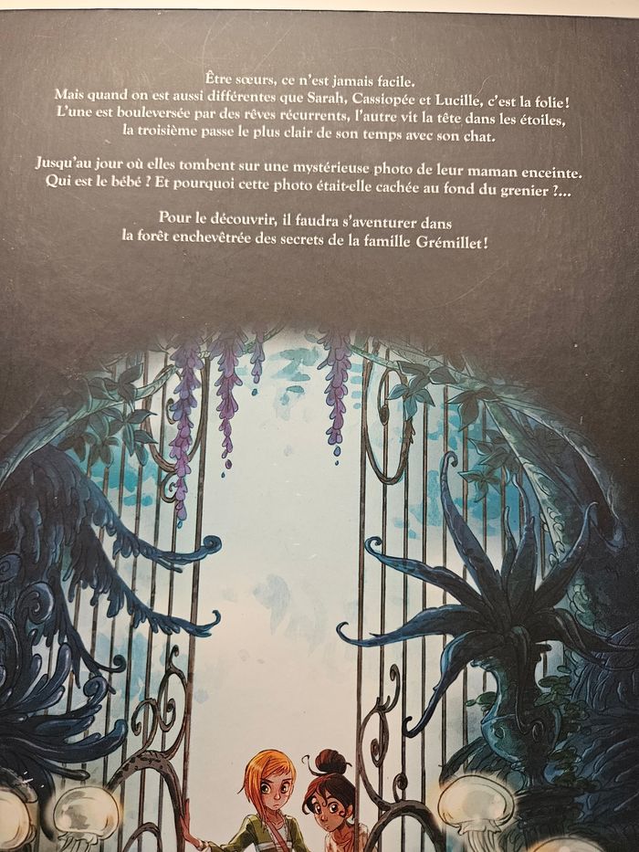 BD les soeurs gremillet - photo numéro 2