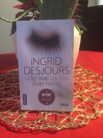 Sa vie dans les yeux d’une poupée - Ingrid Desjours