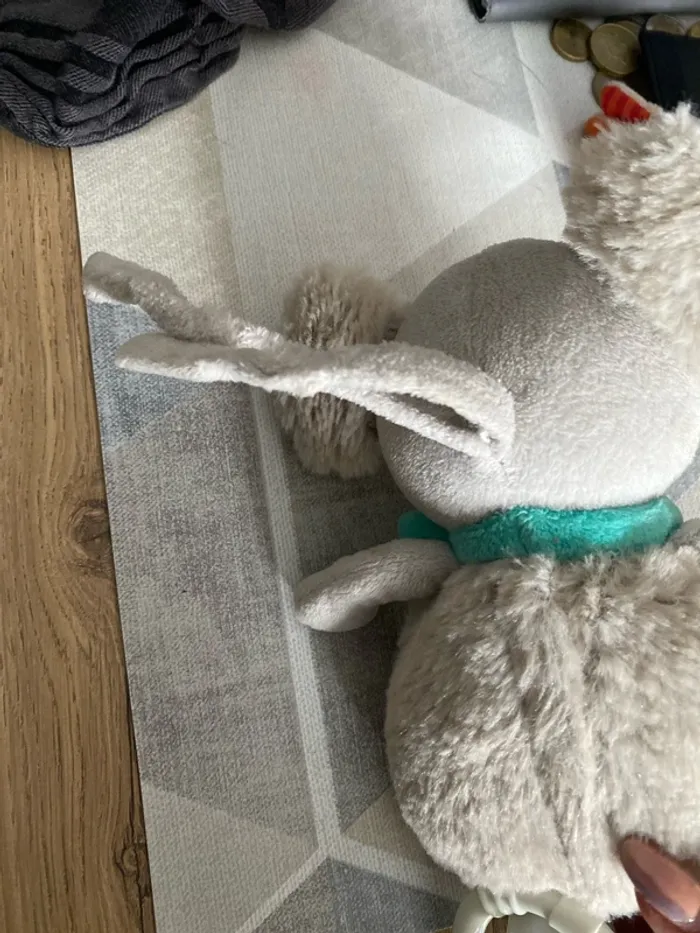 Koala musical - photo numéro 2