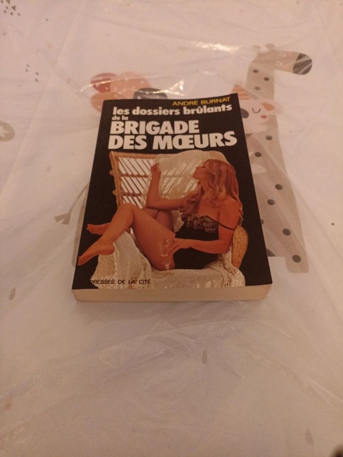 Les dossiers brûlants de la brigade des moeurs