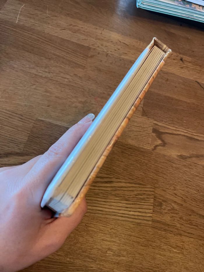 Livre p’tit Champion de danse Numéro 8 - photo numéro 6