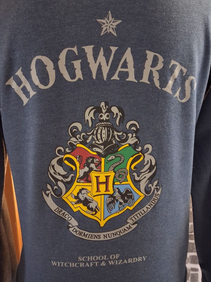 Pull molletonné Harry Potter bleu - photo numéro 2