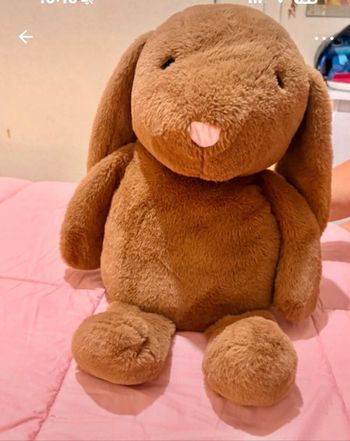 Magnifique peluche avec plaid  blanc intérieur ventre
