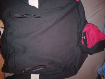 Pull polaire