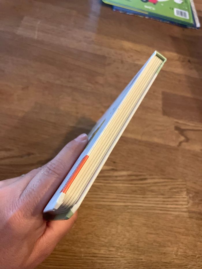 Livre cartonné Pat Patrouille L’imagier des tout petits Les couleurs Paw Patrol - photo numéro 6