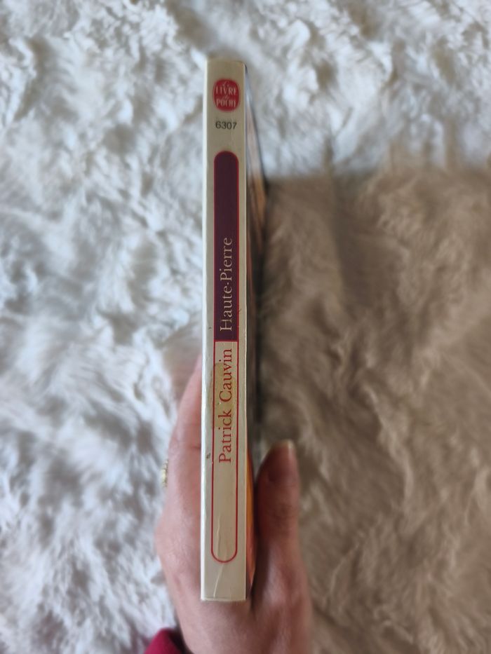 Haute-pierre Patrick Cauvin - photo numéro 2