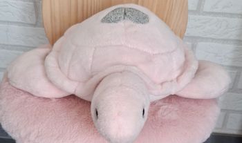 Doudou tortue