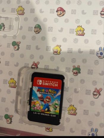 Jeu switch Mario lapin cretin 